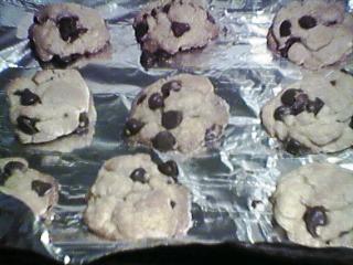 [chocolate chip cookies]